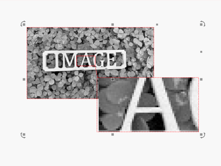 Exp-ImageVsVector-ImageZoomed